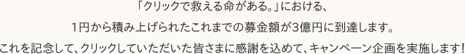 「クリックで救える命がある。」における、1円から積み上げられたこれまでの募金額が3億円に到達します。これを記念して、クリックしていただいた皆さまに感謝を込めて、キャンペーン企画を実施します！